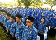 Hari ini Mulai Pendaftaran CPNS dan Berikut Besaran Gajinya