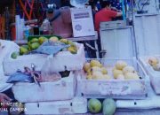 Keuletan Sapri Penjual Mangga di Pasar Cidu Makassar